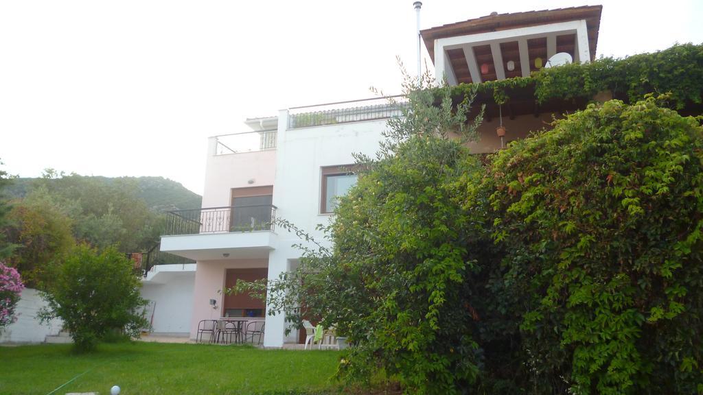 PalaiónTsiflíkion Villa Athina מראה חיצוני תמונה